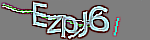 Enter the character string shown in the picture